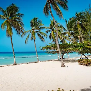 Coconut Court Крайст-Черч